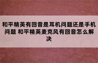 和平精英有回音是耳机问题还是手机问题 和平精英麦克风有回音怎么解决